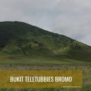 PAKET WISATA BROMO BUKIT TELETUBBIES