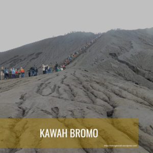 PAKET WISATA BROMO KAWAH